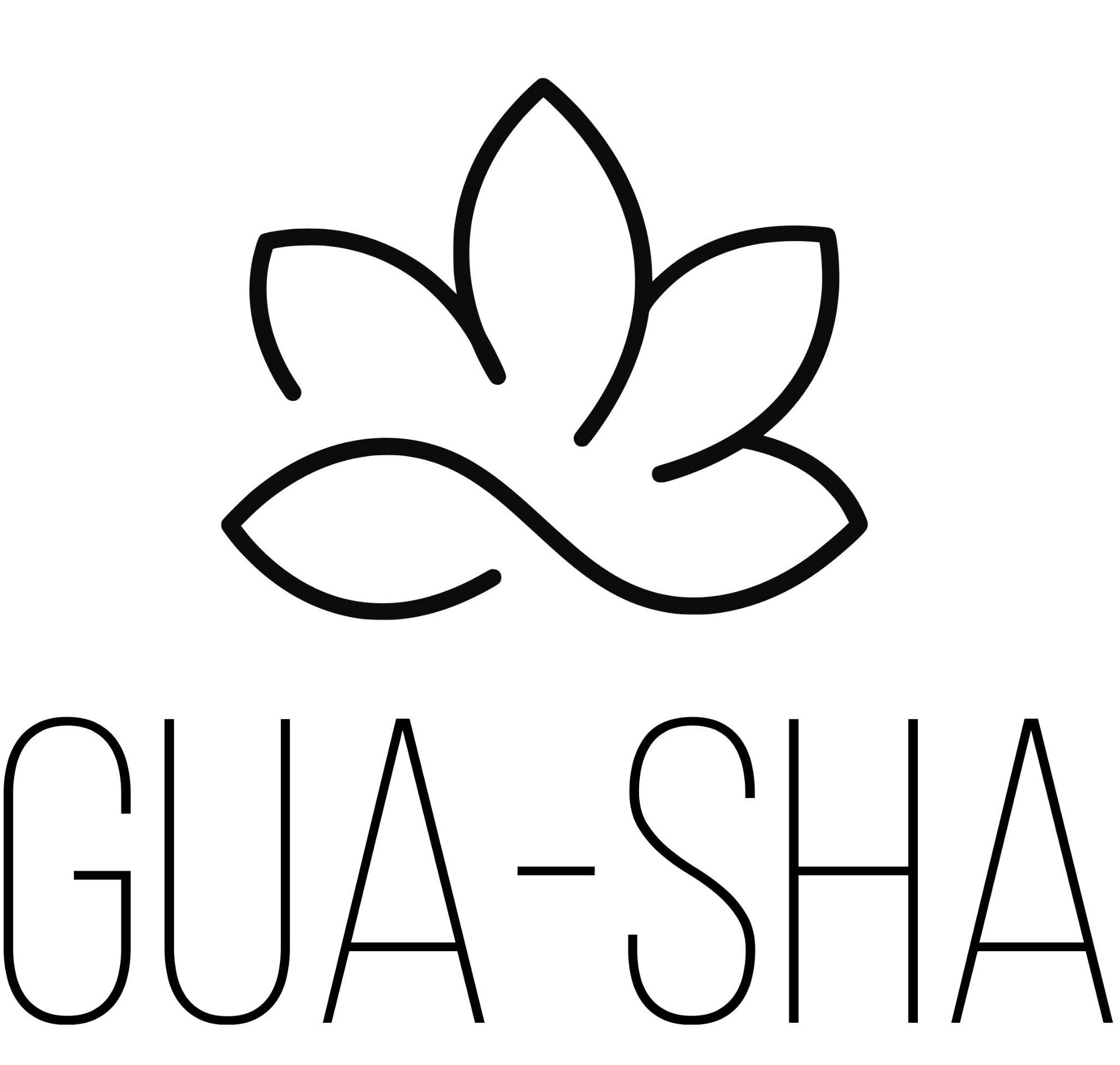 Gua Sha til ansigtet